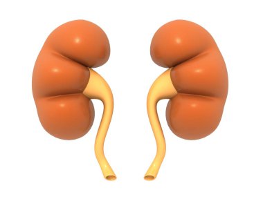 Böbrek,-ebilmek var olmak kullanılmış içinde iş, kişisel, hayırsever ve eğitim projeleri: Bu kullanılabilir web tasarım, basılı medya, reklam, kitap kapakları ve sayfa, müzik sanat, yazılım uygulamaları ve çok daha fazlası.