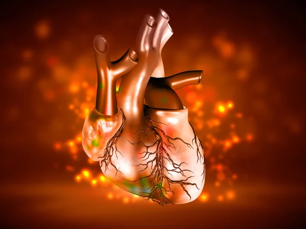 Dijital illüstrasyon insan kalp renk arka planda