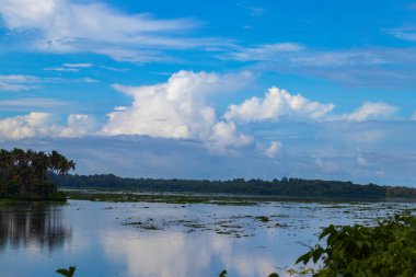 Taşra manzarası, nehir kıyısında ağaçlı bir nehrin sakin akışı.