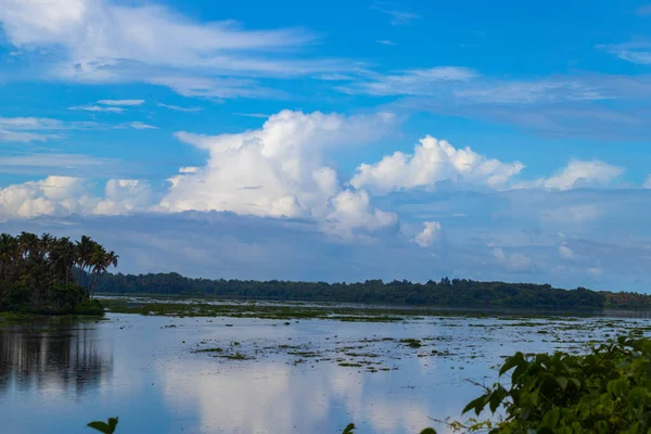 Taşra manzarası, nehir kıyısında ağaçlı bir nehrin sakin akışı.