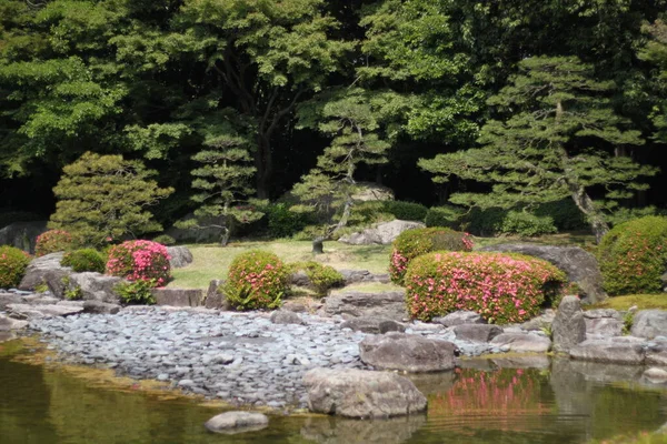 Pintoresco Paisaje Jardín Japonés Con Árboles Arroyo Amoenus Locus Luz — Foto de Stock