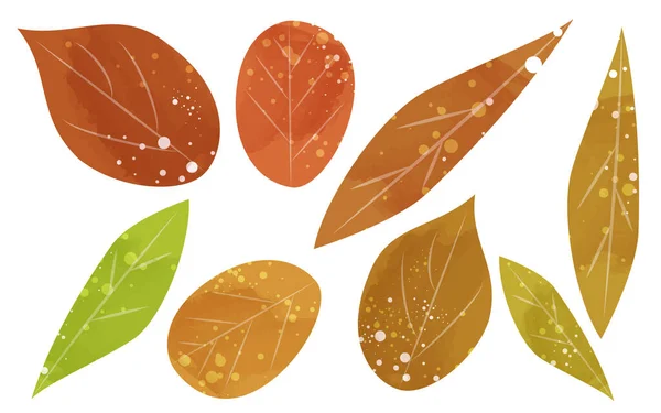 Set Herfstbladeren Transparante Aquarelstijl Illustratie — Stockvector