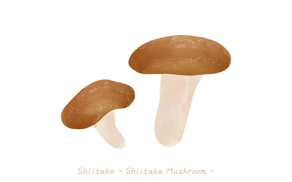 秋天的味道 简单的蘑菇图解 — 图库矢量图片
