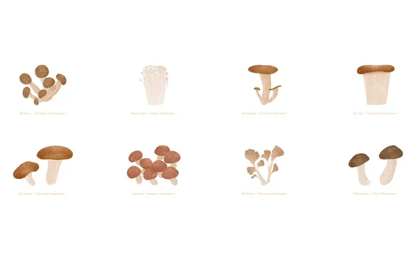 秋の味 シンプルなキノコのイラスト — ストックベクタ