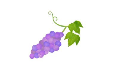 Malzemelerin gösterimi, şeffaf suluboya üzüm stili