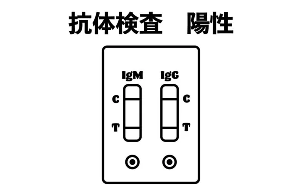 Antikor Testi Sonucu Pozitif Sonuç Veriyor Çeviri — Stok Vektör