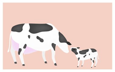 Anne ve buzağının pembe arka plandaki görüntüsü.