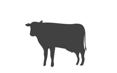 Ayakta duran bir ineğin silüeti.