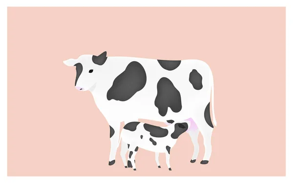 Ilustração Bezerro Chupando Leite Vaca Mãe Fundo Rosa — Vetor de Stock