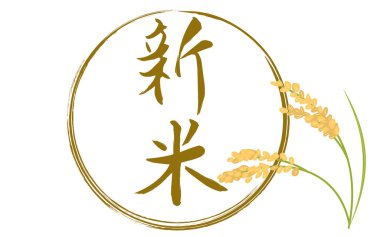 Pirinç ve pirincin hasat edilmiş hali.