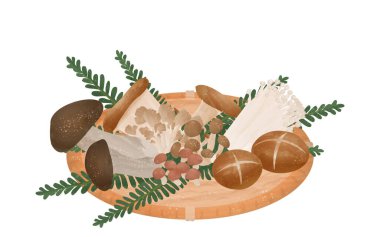 Mantar toplamanın topladığı mantarların resmi, sonbaharın tadı.