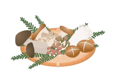 Mantar toplamanın topladığı mantarların resmi, sonbaharın tadı.