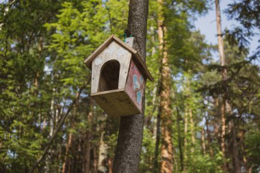 Ormandaki ağaçta küçük bir kontrplak kuş evi..