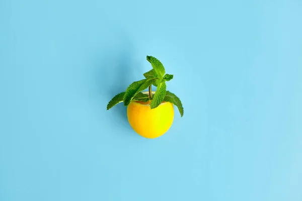 Composition with citrus fruits on color background. Creative summer background composition with lemon, leaves mint and ice cubes. Minimal lemonade drink concept. Top view