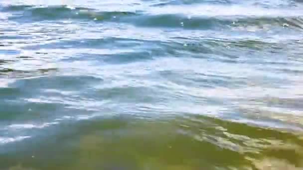 Okyanusun yanındaki su. — Stok video