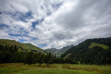 Öğleden sonra güzel bir açıklık. Arka planda dağlar ve ağaçlar