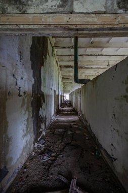 Penceresi ve kapısı olmayan terk edilmiş bir bina içeriden görülebiliyor.