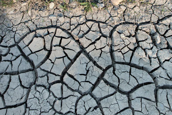 Textura Fondo Tierra Agrietada — Foto de Stock