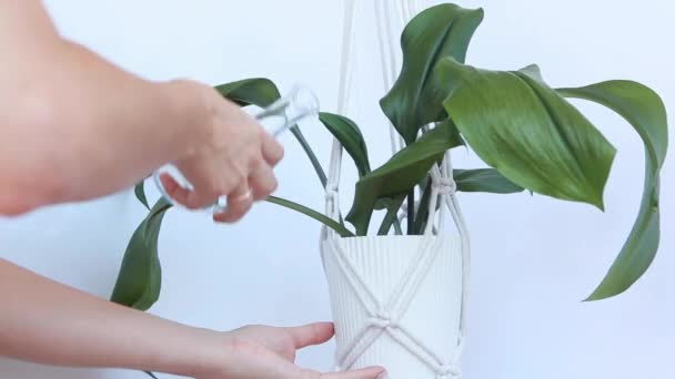 Mujeres manos agua Eucaristía — Vídeo de stock