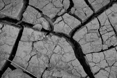 Çatlak toprağın arkaplan dokusu