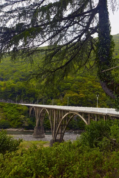 도로를 흐르는 경치좋은 고속도로 구름과 안개로 뒤덮인 아름다운 다리와 고가교 — 스톡 사진