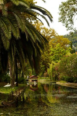 Göl parkındaki palmiye ağaçları dinlenmeye uygundur..