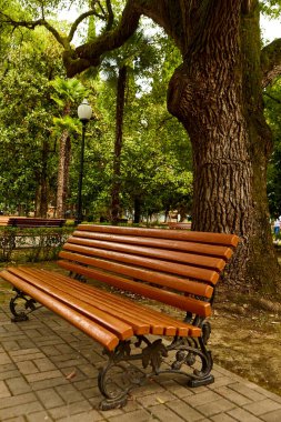 Şehir parkındaki ahşap bank.