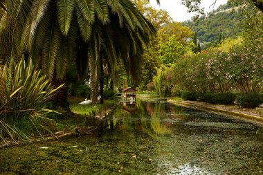 Göl parkındaki palmiye ağaçları dinlenmeye uygundur..