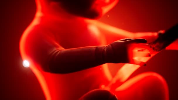 人类胎儿的3D医学动画 — 图库视频影像