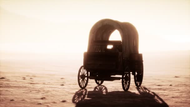 Chariot rétro recouvert de toile dans le désert au coucher du soleil — Video