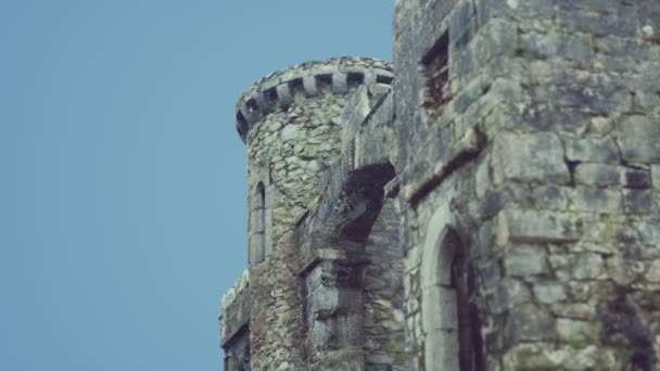 Wspaniały zamek Menlo w Irlandii — Wideo stockowe
