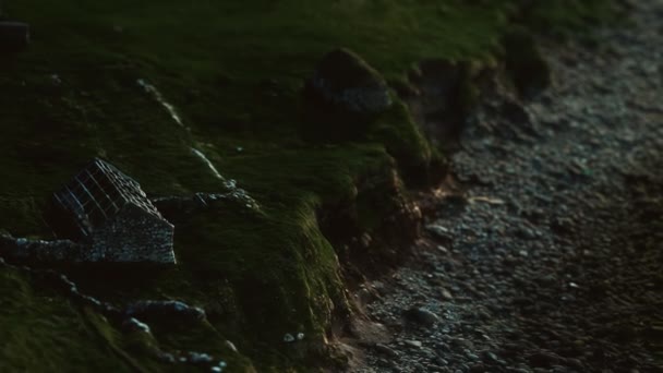 Udsigt på en kyst på Færøerne ved solnedgang – Stock-video