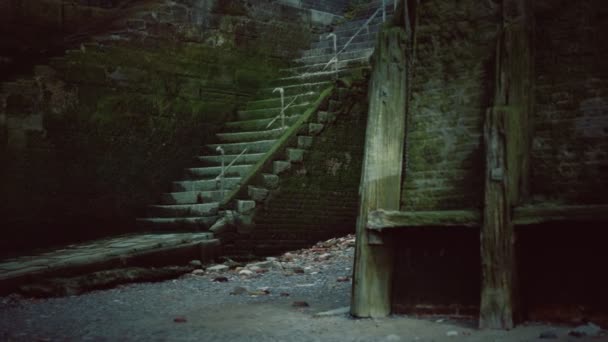 Vieux mur et escaliers couverts de mousse — Video