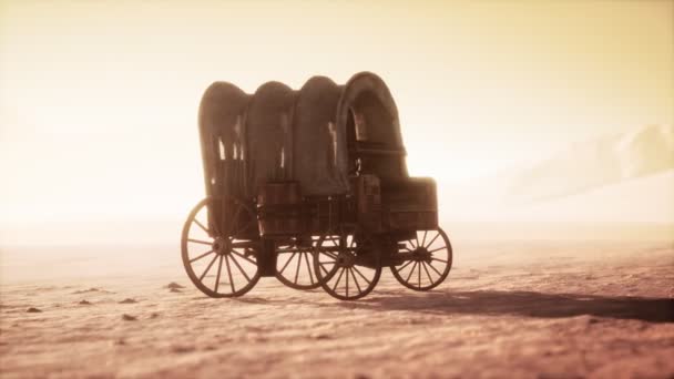 Lienzo cubierto carro retro en el desierto al atardecer — Vídeos de Stock