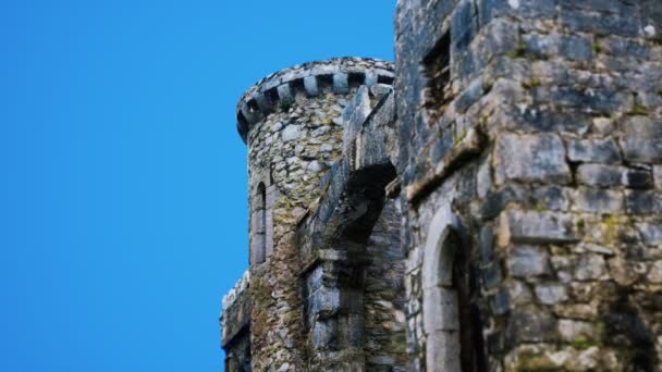 O incrível Castelo Menlo na Irlanda — Vídeo de Stock