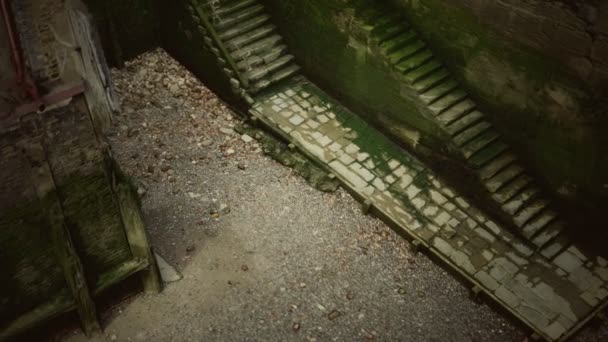 Vieux mur et escaliers couverts de mousse — Video