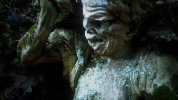 Szörny szobor az erdőben — Stock videók