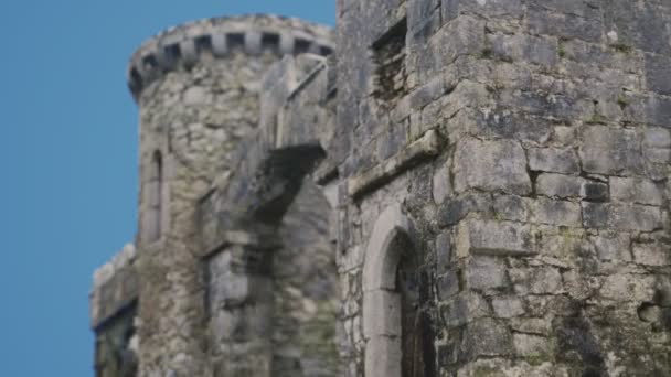 Удивительный замок Менло в Ирландии — стоковое видео