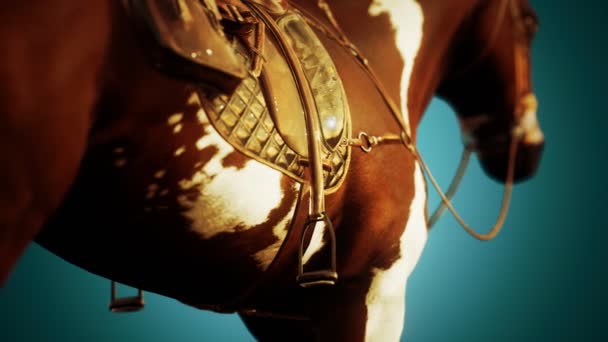 Седло со стремя на спине лошади — стоковое видео