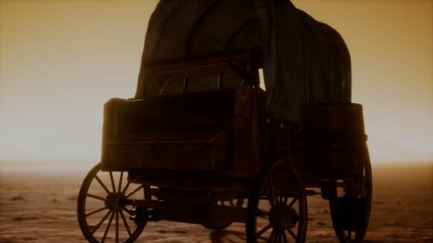 Canvas covered retro wagon in desert at sunset — Stock Video