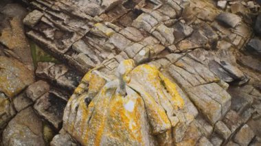 Kaya dağının uçurumu