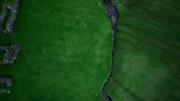 Campos de grama verde das Ilhas Faroé — Vídeo de Stock