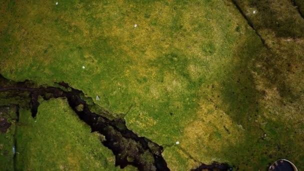 Letecký pohled na zelenou krajinu na Faerských ostrovech — Stock video
