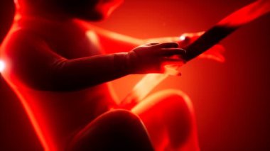 Bir insan fetüsünün tıbbi 3 boyutlu animasyonu