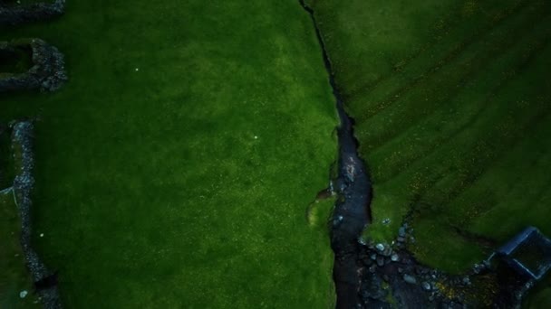 Campos de hierba verde de las Islas Feroe — Vídeos de Stock