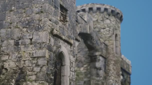 Den utrolige Menlo Castle i Irland. – stockvideo