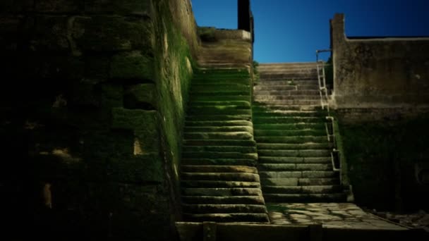 Antigua pared y escaleras cubiertas de musgo — Vídeo de stock