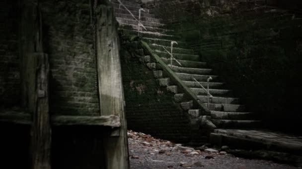 青苔覆盖的旧墙壁和楼梯 — 图库视频影像