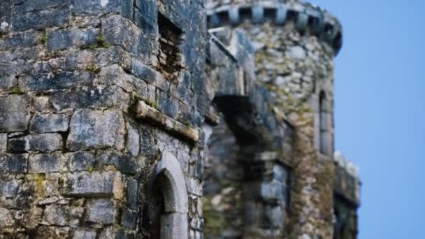 El increíble Castillo de Menlo en Irlanda — Vídeos de Stock