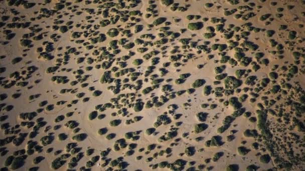 Vista aérea del desierto de arbustos — Vídeos de Stock